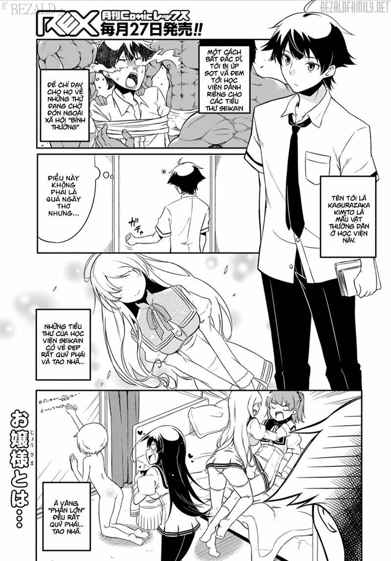 Ore Ga Ojou-Sama Gakkou Ni "Shomin Sample" Toshite Rachirareta Ken Chapter 43.5 - Next Chapter 44