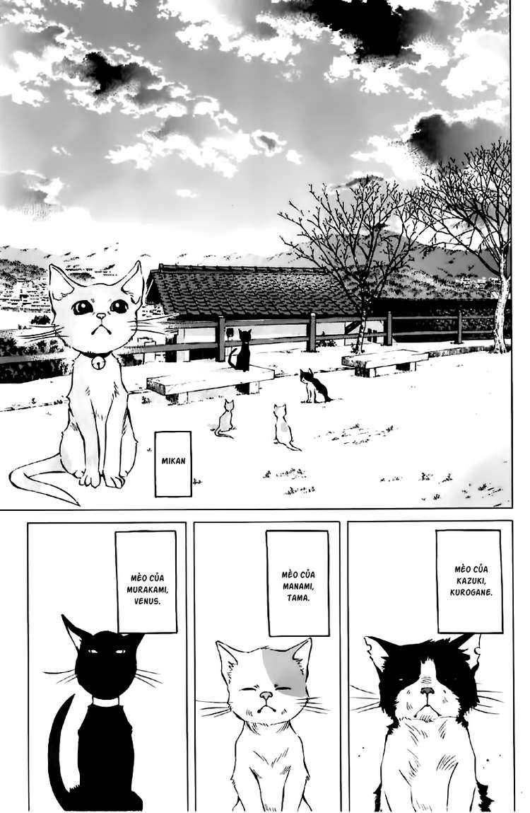 Pastel Chapter 123.5 - Trang 2