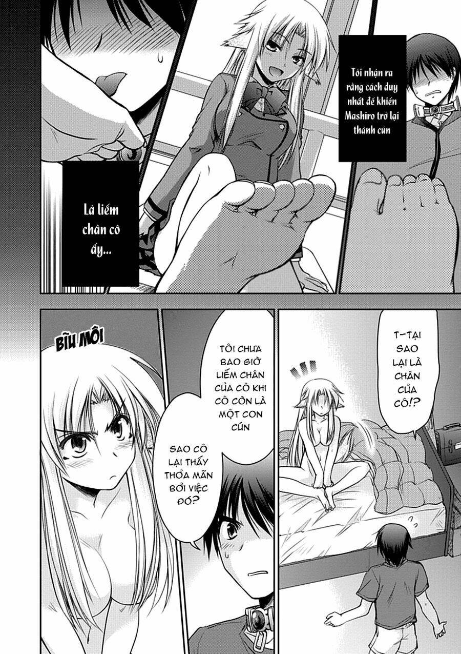 Perowan! - Hayaku Shinasai! Goshujin-Sama Chapter 2 - Trang 2