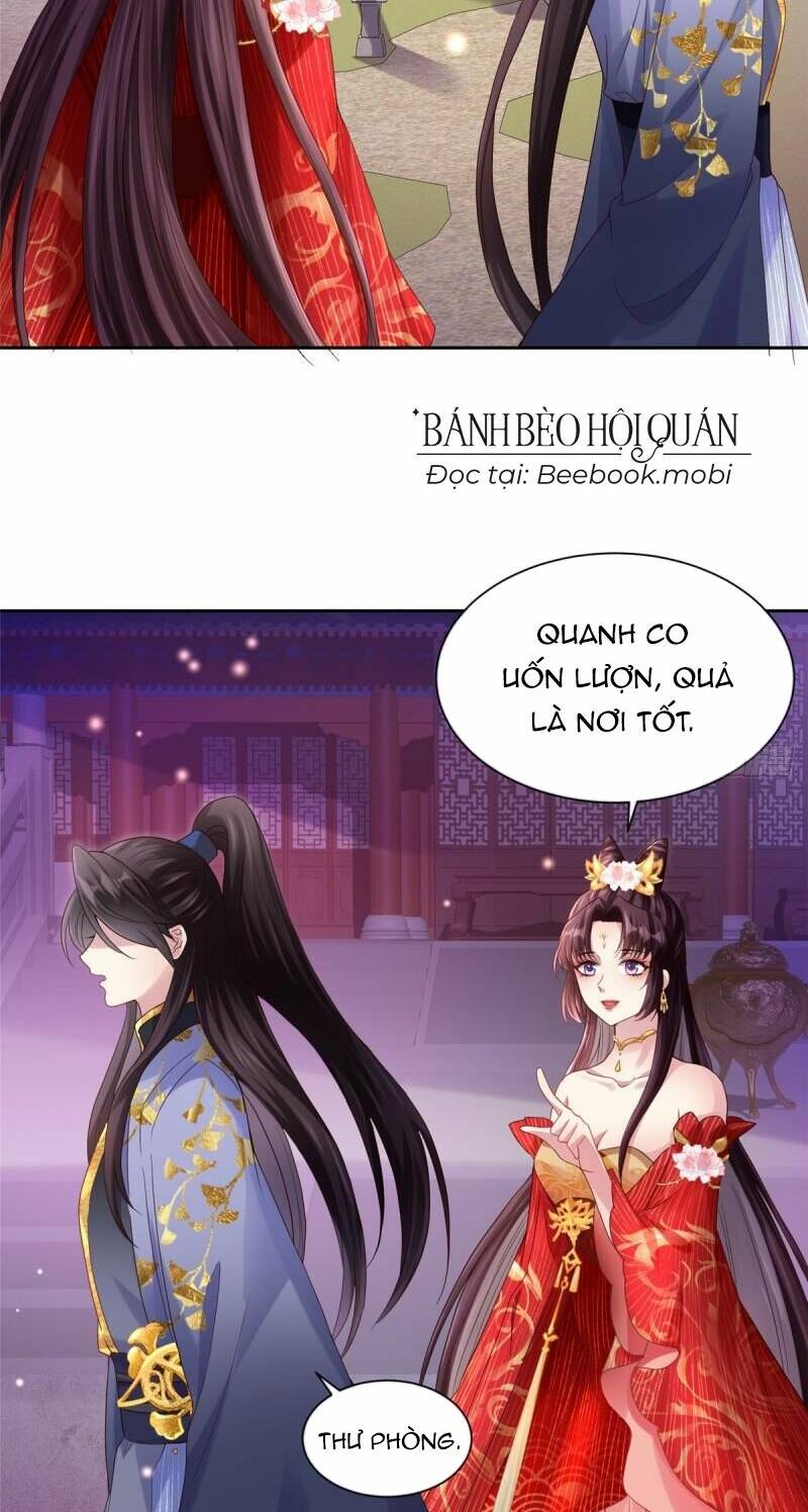 phò mã hôm nay cũng muốn phản công chapter 2 - Next chapter 3