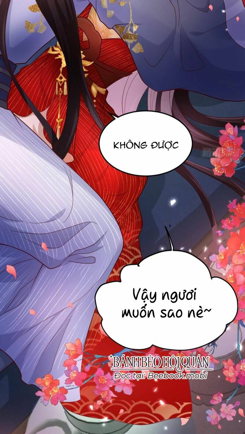 phò mã hôm nay cũng muốn phản công chapter 6 - Next chapter 7