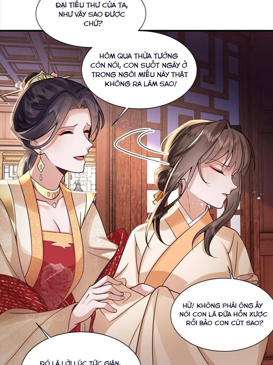 phượng hoàng quy hồi chapter 3 - Trang 2