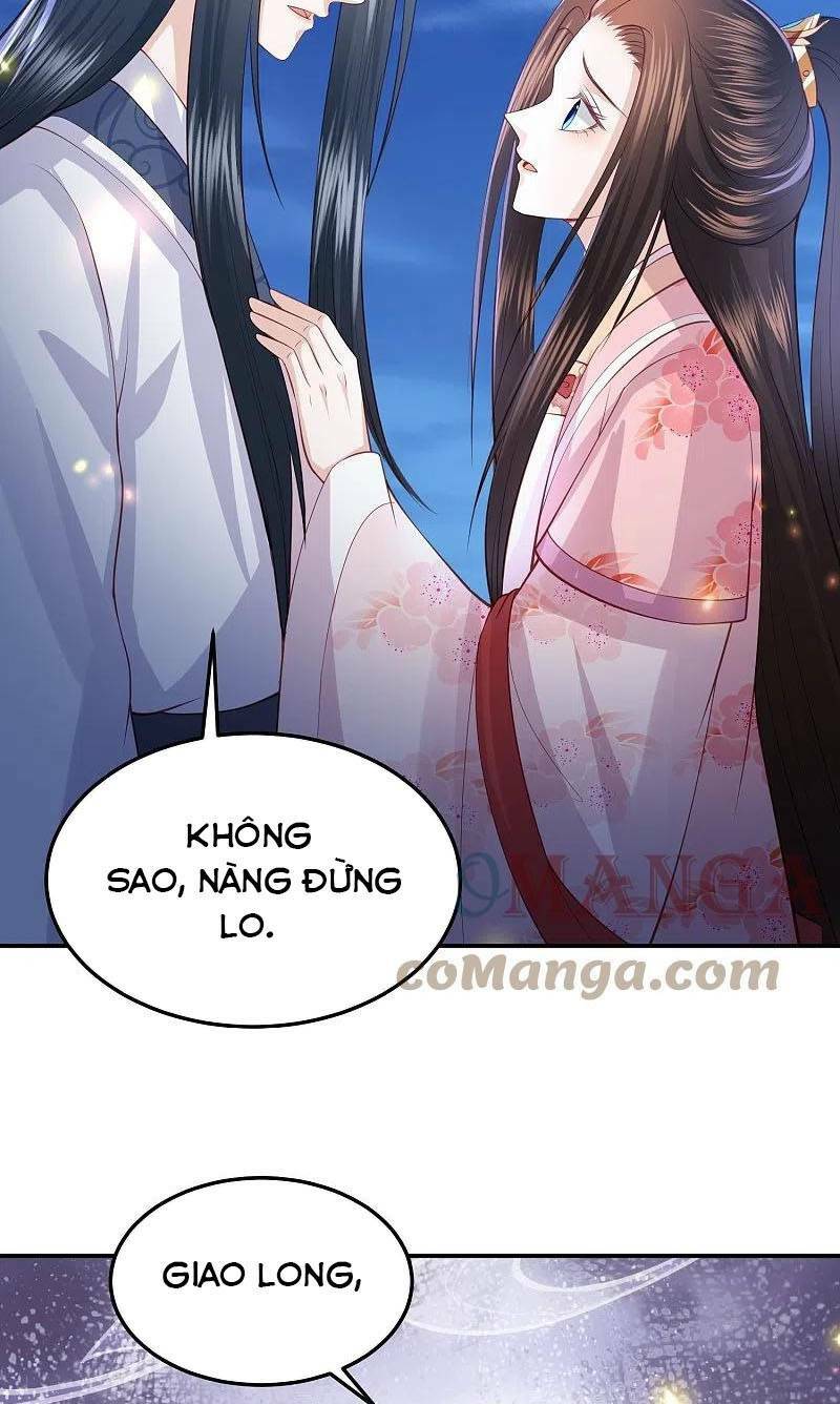 phượng hoàng thác: chuyên sủng khí thê chapter 247 - Trang 2