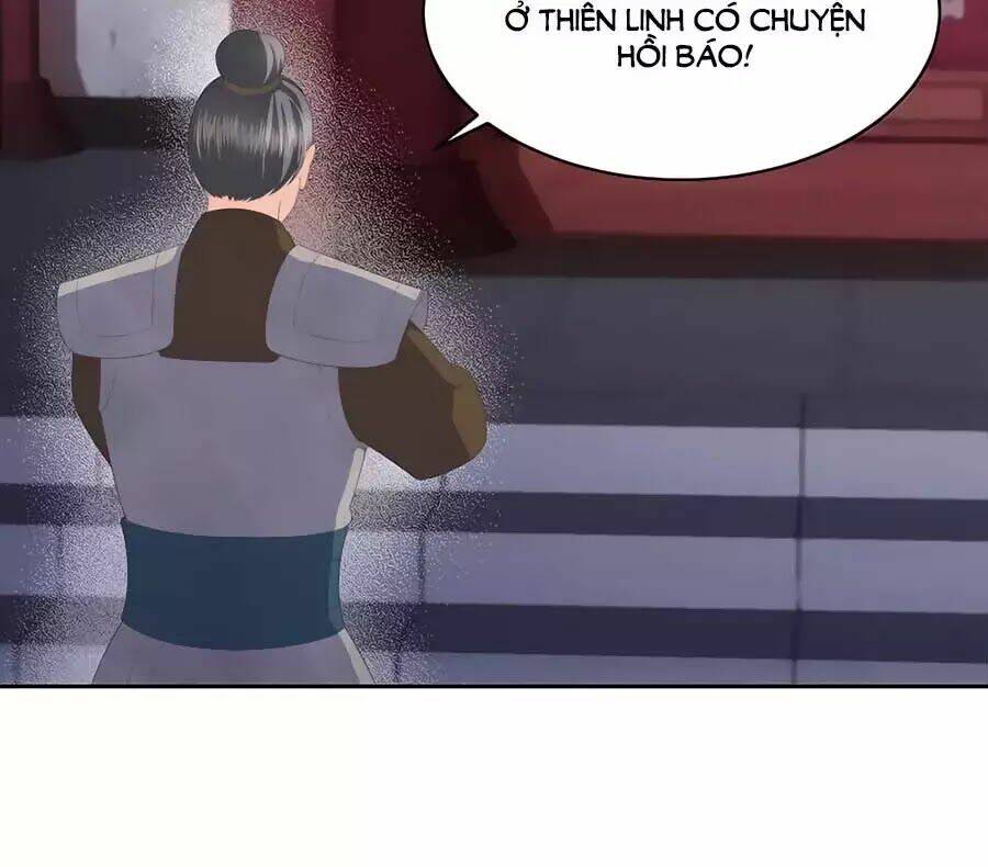 phượng hoàng thác: chuyên sủng khí thê chapter 31 - Trang 2