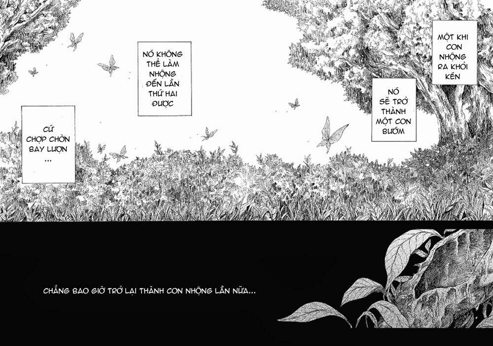 pupa chapter 12 - Trang 2