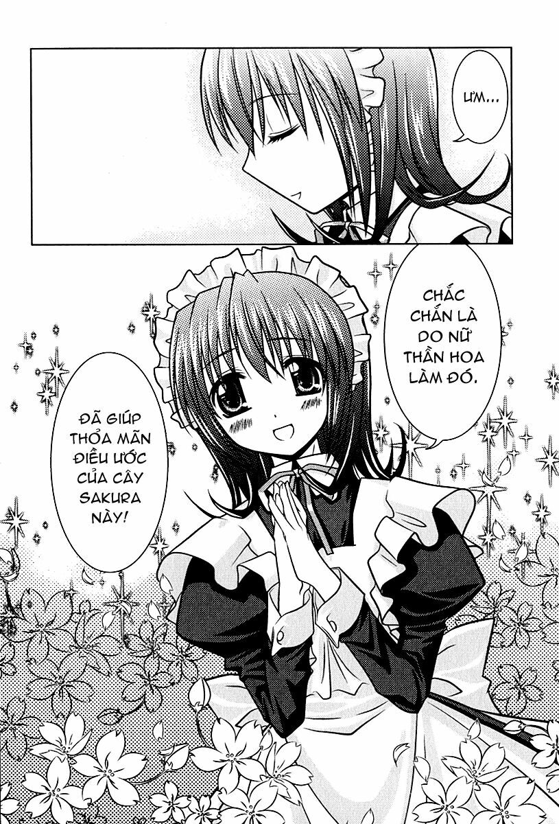 Sakura No Nekohime Chapter 5 - Trang 2