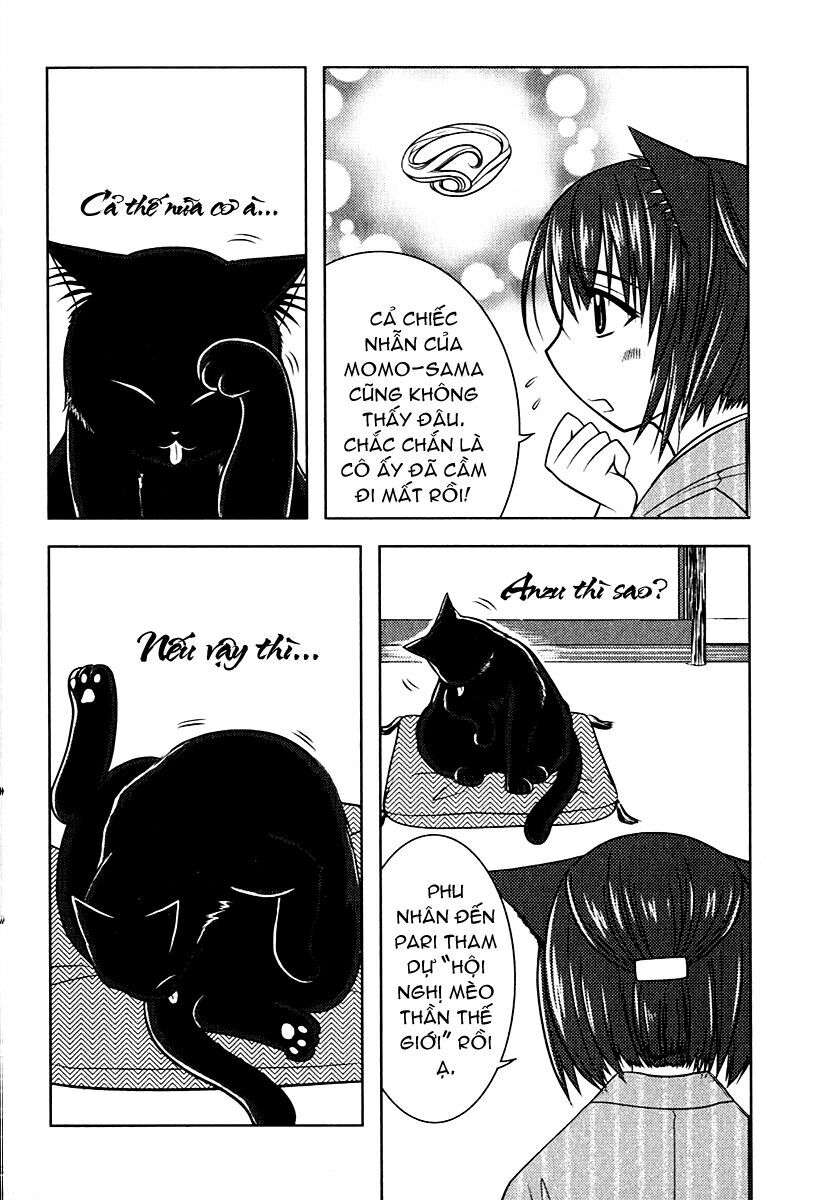 Sakura No Nekohime Chapter 5 - Trang 2