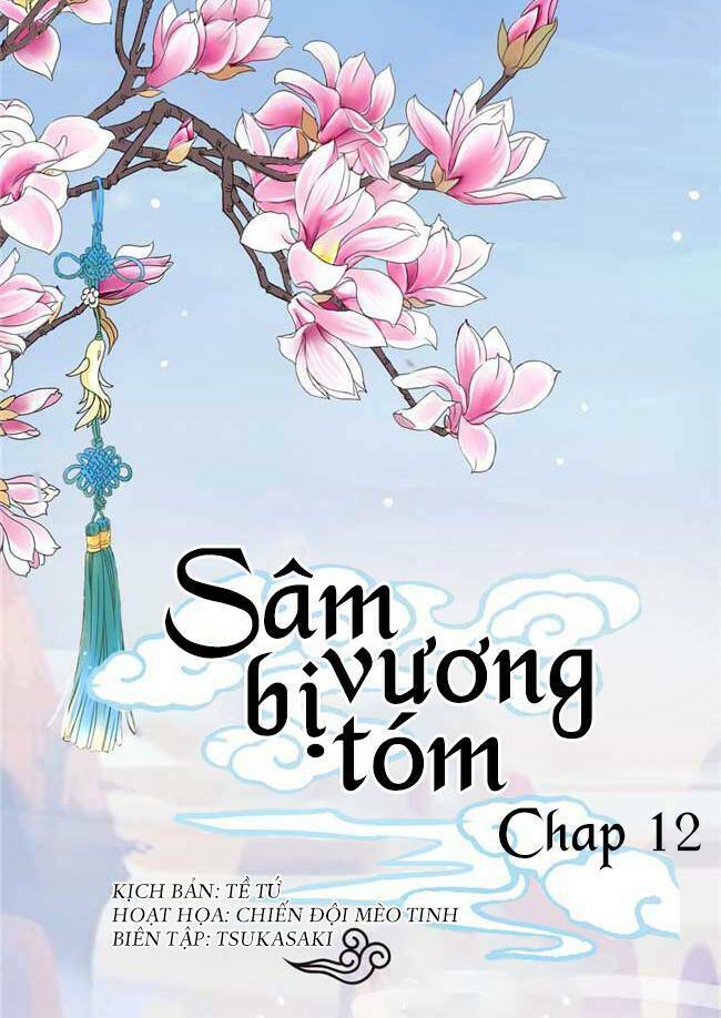 Sâm Vương Bị Tóm Chapter 12 - Next Chapter 13