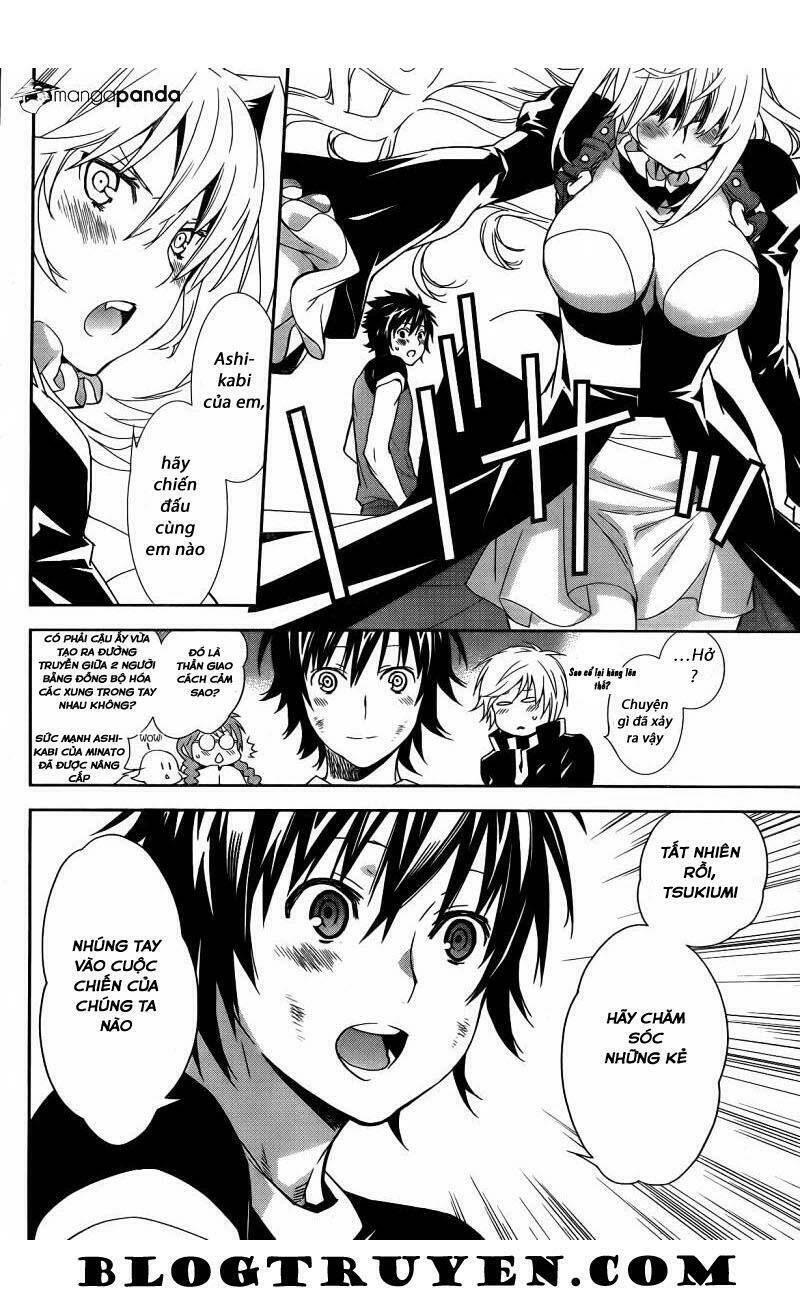 Sekirei Chapter 167 - Trang 2