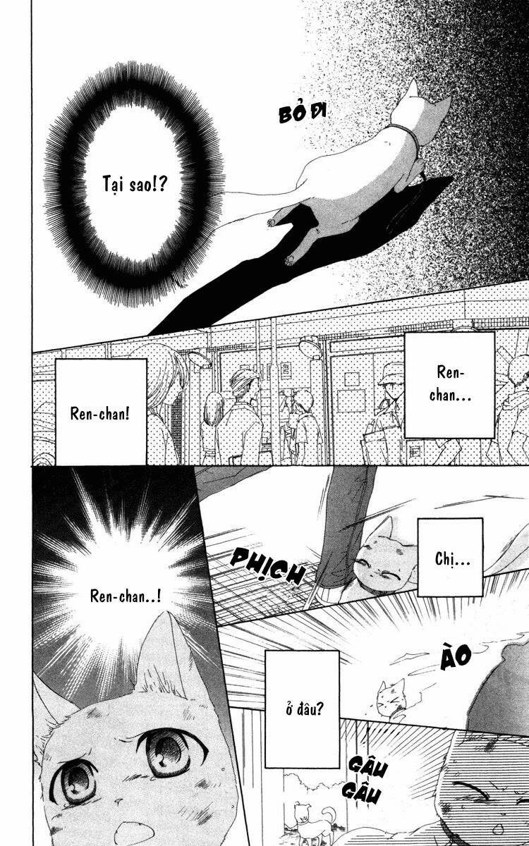 Shinigami no Ballad Chapter 6 - Trang 2