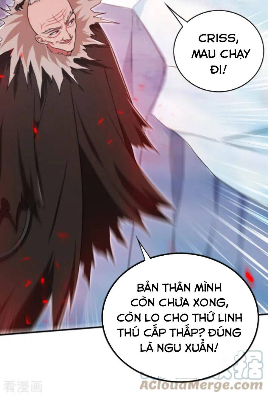 siêu cấp thần y tại đô thị Chapter 251 - Next Chapter 252