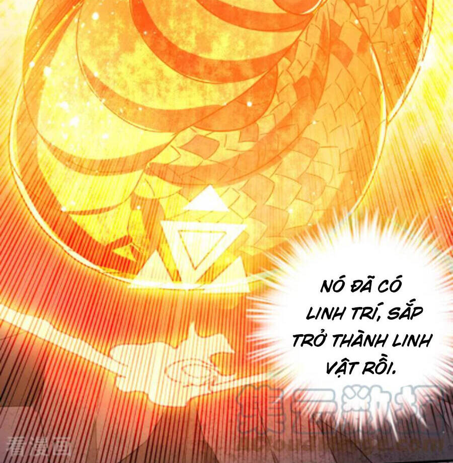 siêu cấp thần y tại đô thị Chapter 251 - Next Chapter 252