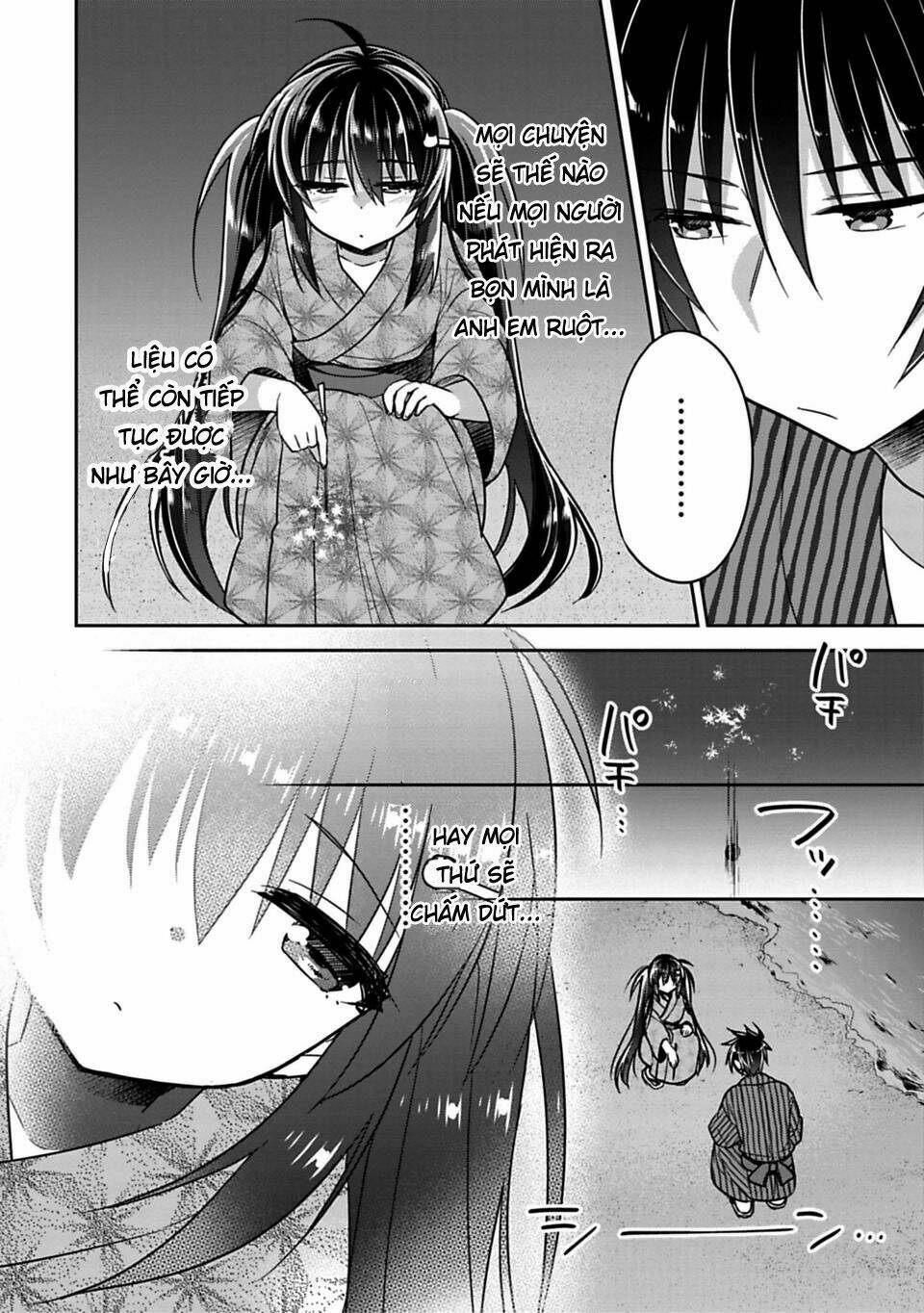 Siscon Ani To Brocon Imouto Ga Shoujiki Ni Nattara Chapter 15.5 - Trang 2