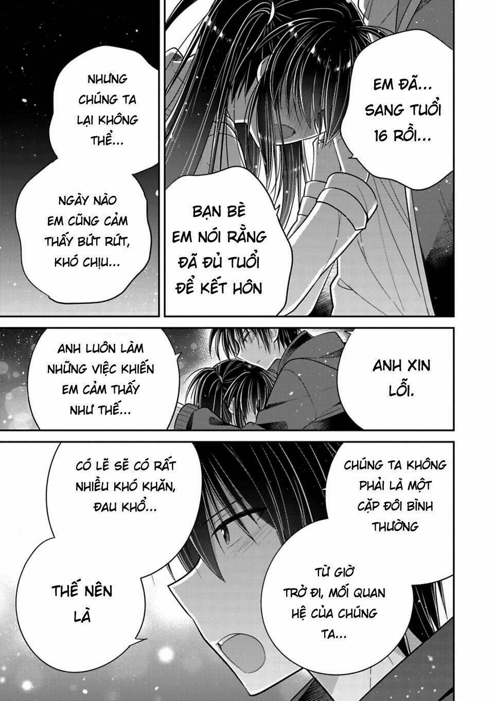 Siscon Ani To Brocon Imouto Ga Shoujiki Ni Nattara Chapter 31 - Trang 2