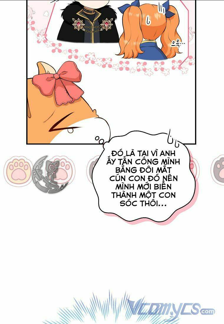 sóc nhỏ tài năng chapter 11 - Trang 2