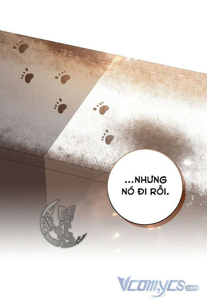 sóc nhỏ tài năng chapter 22 - Next chapter 23