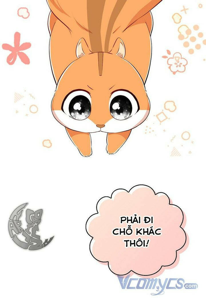 sóc nhỏ tài năng chapter 22 - Next chapter 23