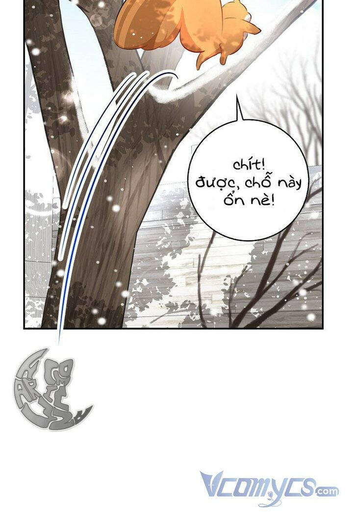 sóc nhỏ tài năng chapter 22 - Next chapter 23