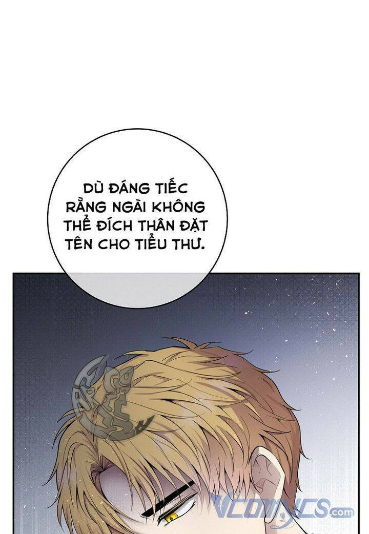 sóc nhỏ tài năng chapter 22 - Next chapter 23