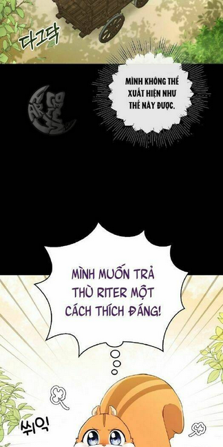 sóc nhỏ tài năng chapter 3 - Next chapter 4