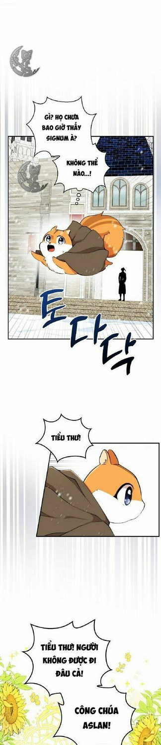 sóc nhỏ tài năng chapter 3 - Next chapter 4