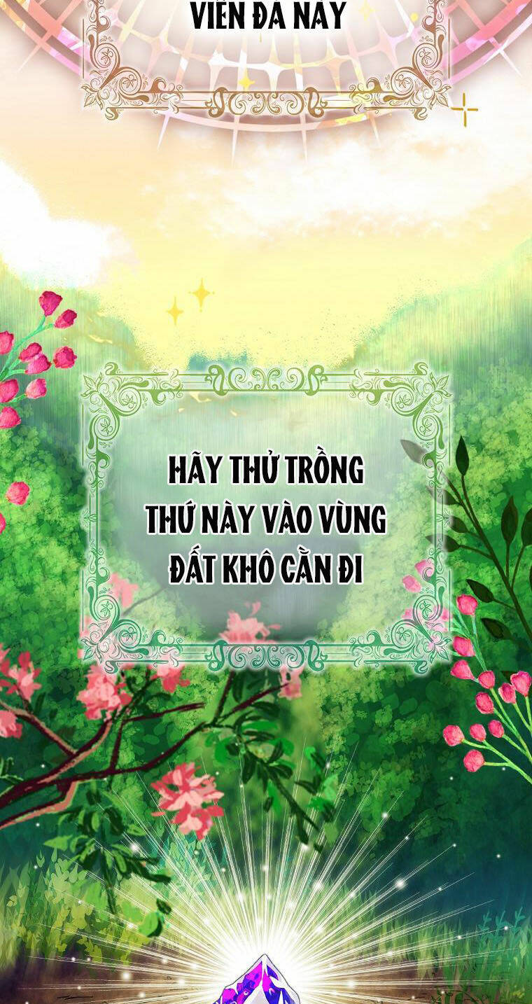 sóc nhỏ tài năng chương 49 - Next chương 50