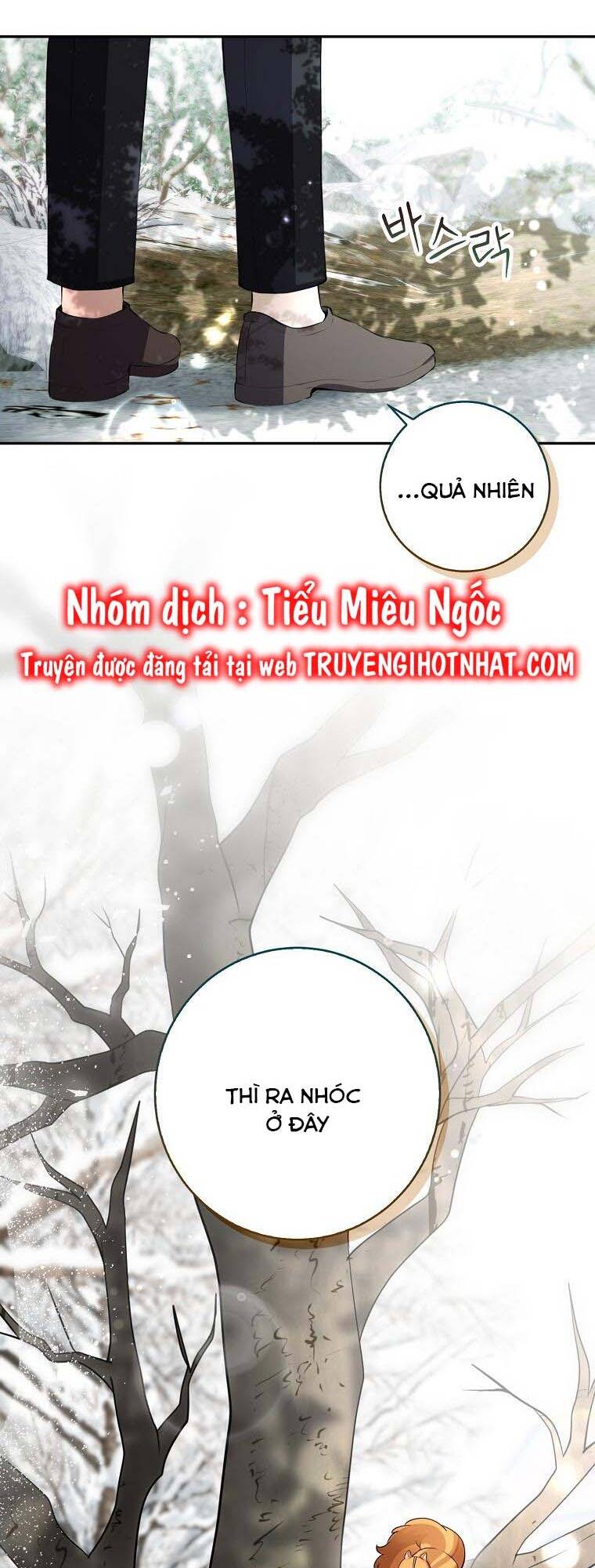 sóc nhỏ tài năng chương 53 - Trang 2