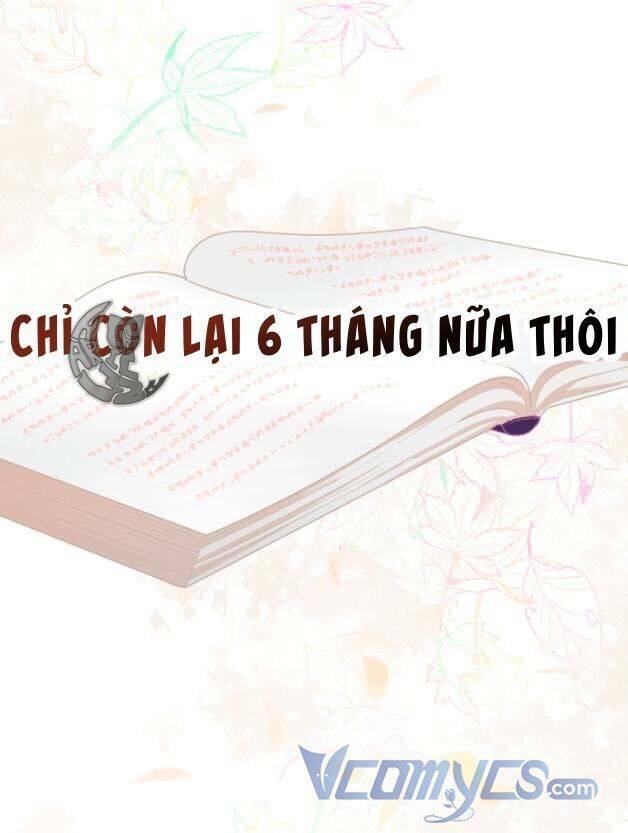 sự điều trị đặc biệt của tinh linh chapter 50 - Trang 2