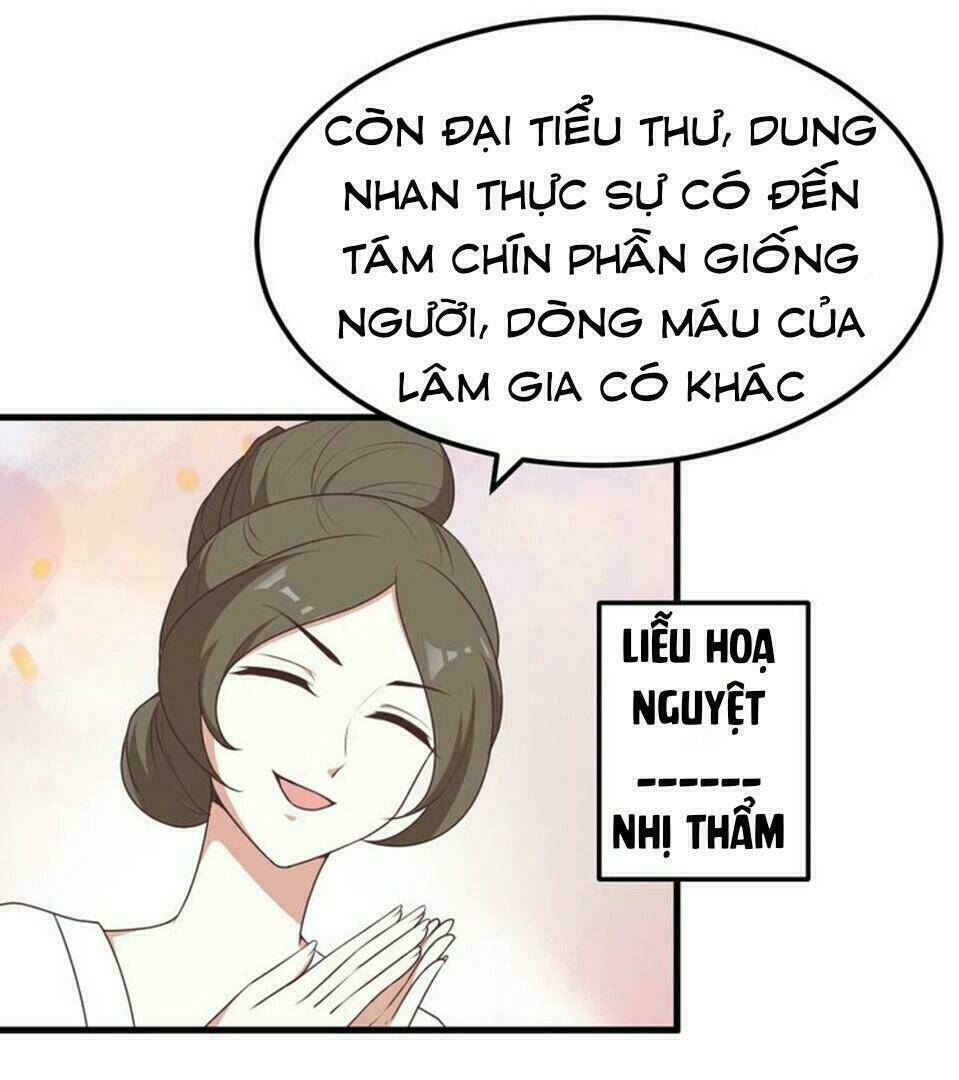 sự tái sinh của nhiếp chính chương 4.6 - Next chương 5