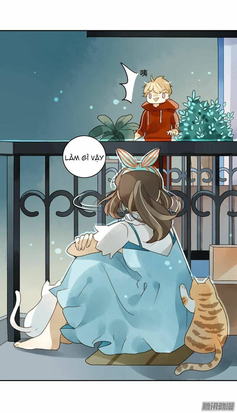 Sức Mạnh Của Sắc Đẹp Chapter 47 - Trang 2