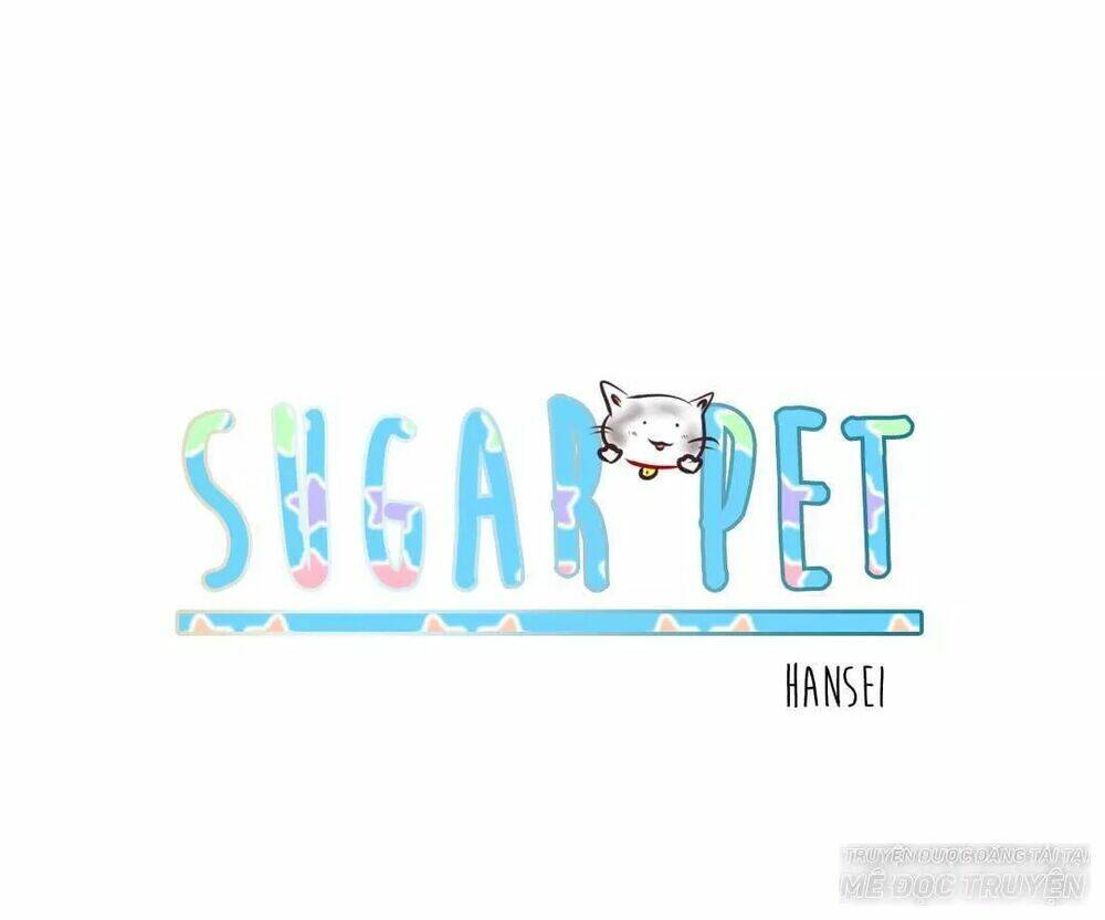 Sugar Pet Chapter 3 - Next Chapter 4