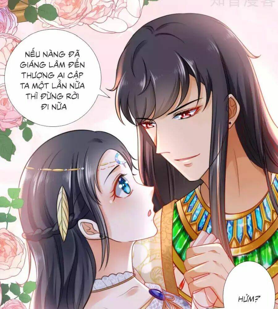 Sủng Hậu Của Vương Chapter 15 - Trang 2