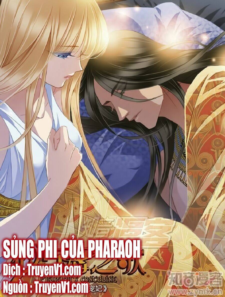 sủng phi của pharaoh chapter 54 - Trang 2