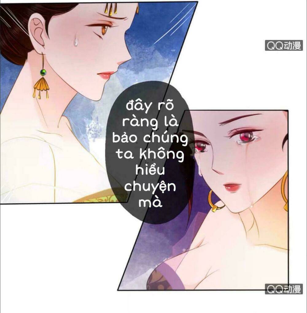 sủng phi của vương Chapter 11 - Trang 2