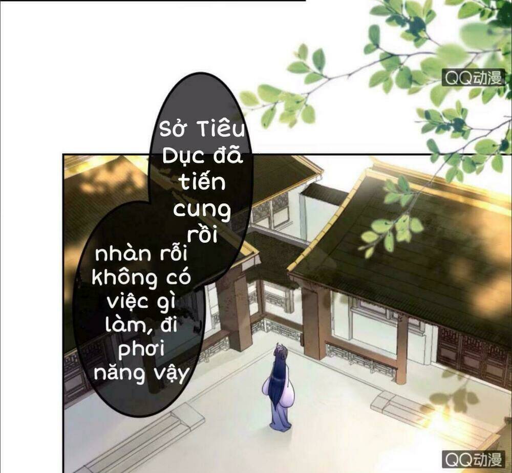 sủng phi của vương Chapter 32 - Trang 2