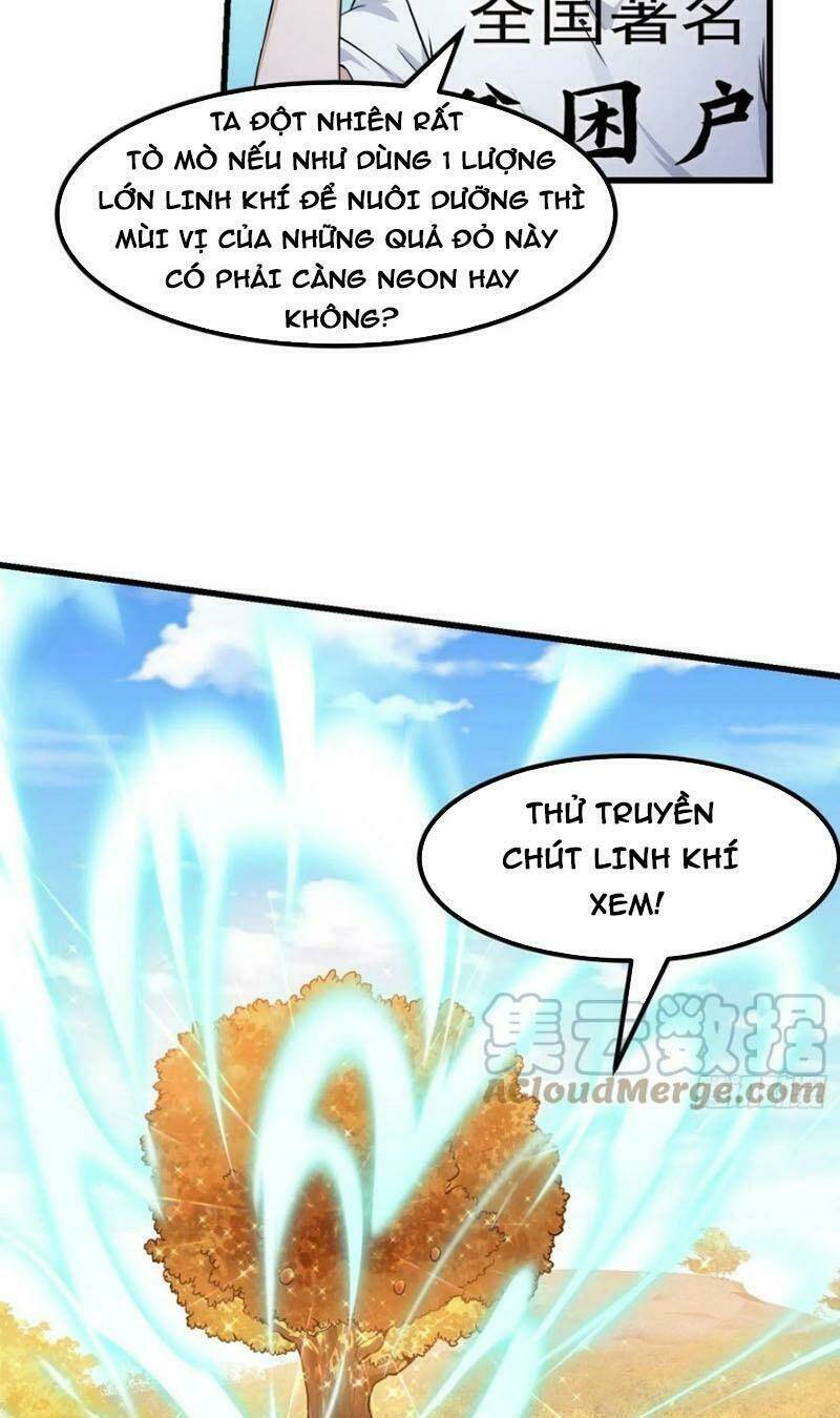 ta chẳng qua là một đại la kim tiên Chapter 232 - Next chapter 233