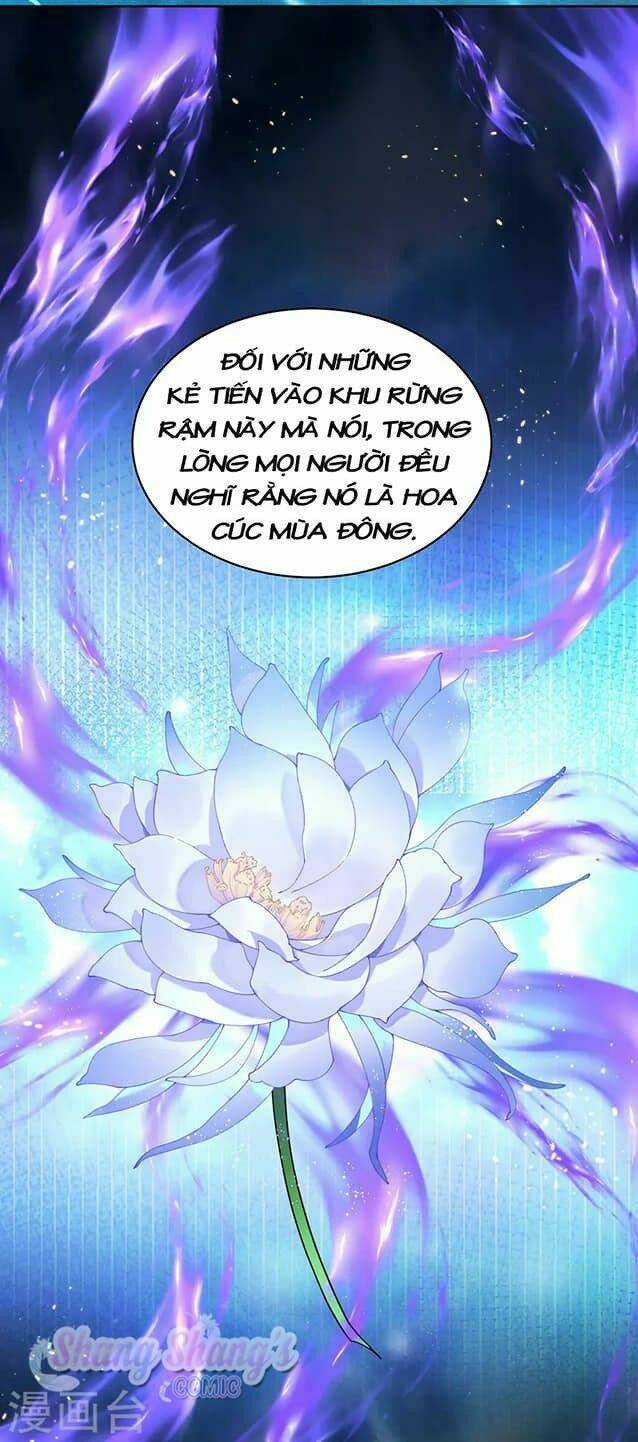 ta ở dị giới nuôi dưỡng nam thần: thần y cửu tiểu thư chapter 204 - Next chapter 205