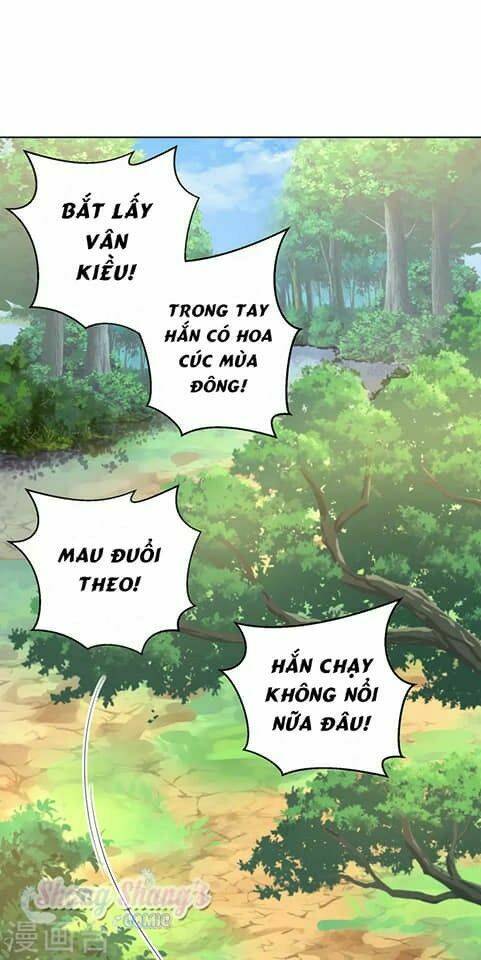 ta ở dị giới nuôi dưỡng nam thần: thần y cửu tiểu thư chapter 206 - Next chapter 207