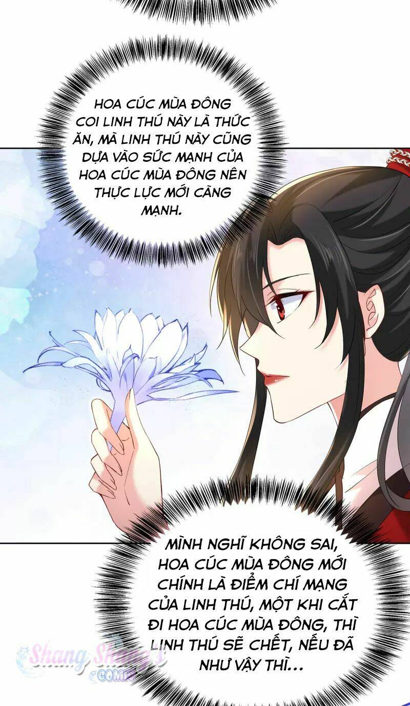 ta ở dị giới nuôi dưỡng nam thần: thần y cửu tiểu thư chapter 214 - Trang 2