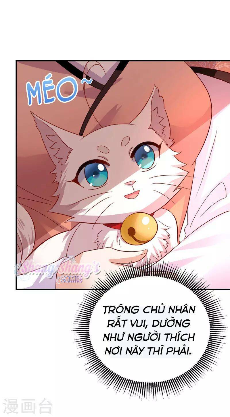 ta ở dị giới nuôi dưỡng nam thần: thần y cửu tiểu thư chapter 231 - Next chapter 232