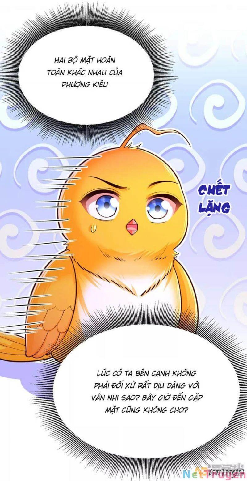 ta ở hậu cung làm lão đại chapter 101 - Next chapter 102