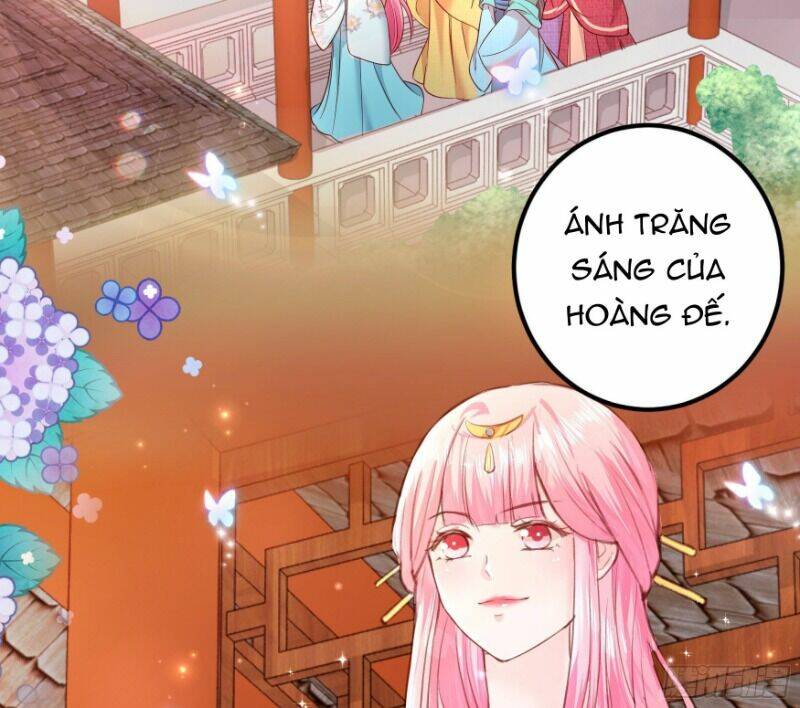 ta phải làm hoàng hậu chapter 4 - Next chapter 5