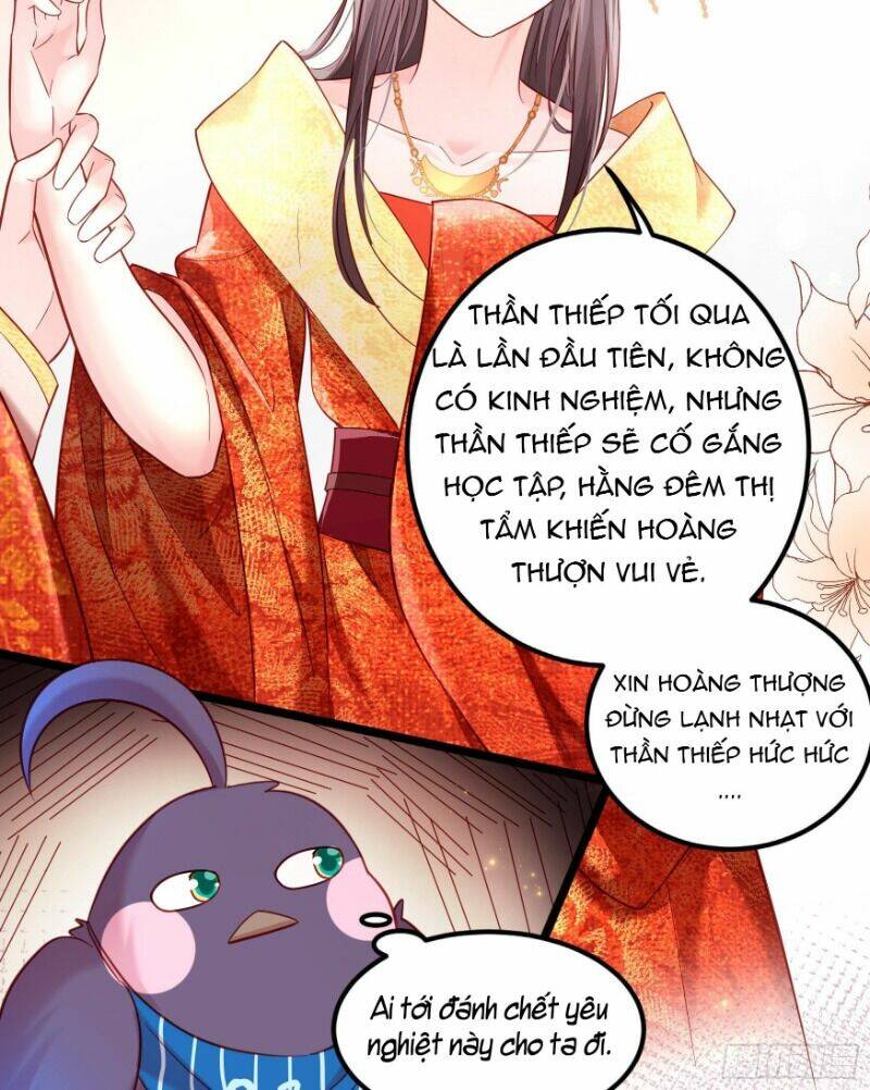 ta phải làm hoàng hậu chapter 4 - Next chapter 5