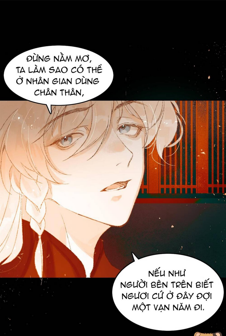 tầm mộng hồn chapter 5 - Next chapter 6