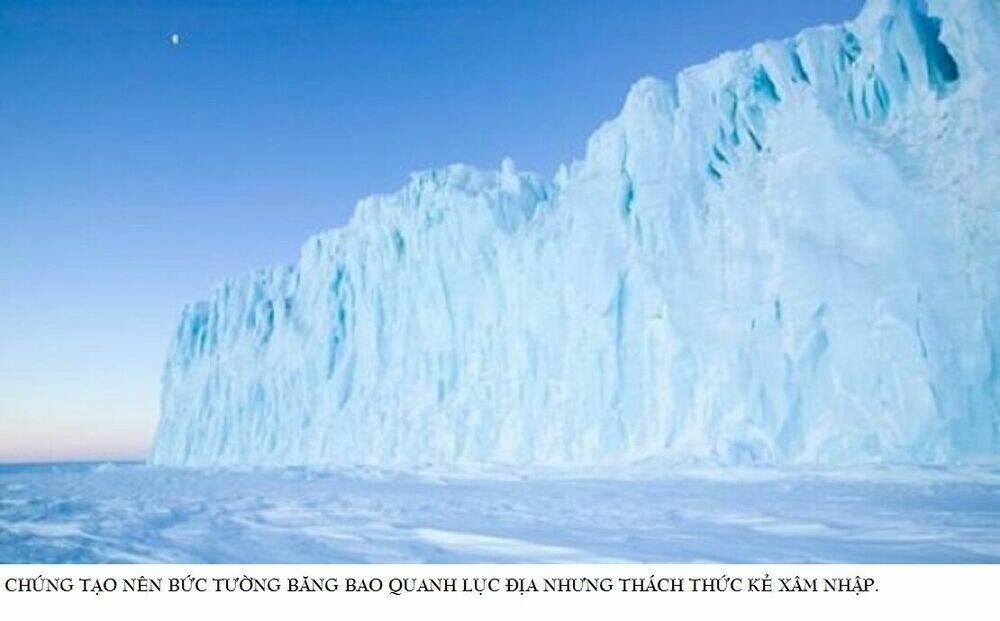 Tân Châu Nam Cực (New Antarctica) Chapter 0 - Trang 2