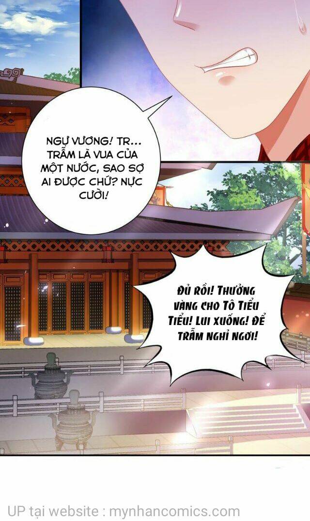 thái tử điện hạ có tin vui chapter 144 - Next chapter 145