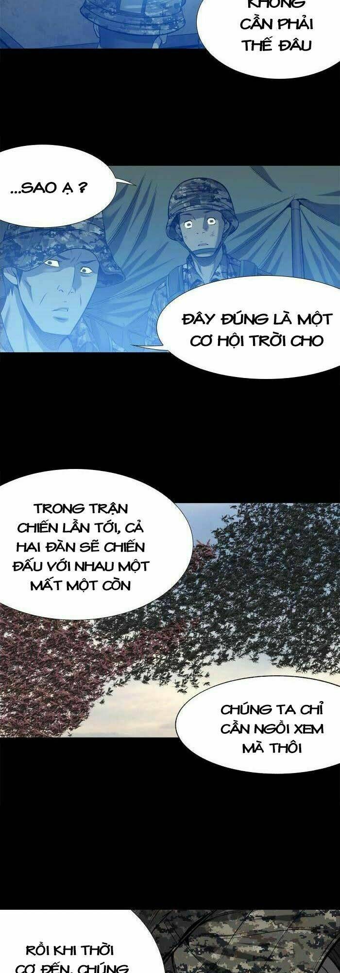 thảm họa ong độc chapter 217 - Trang 2