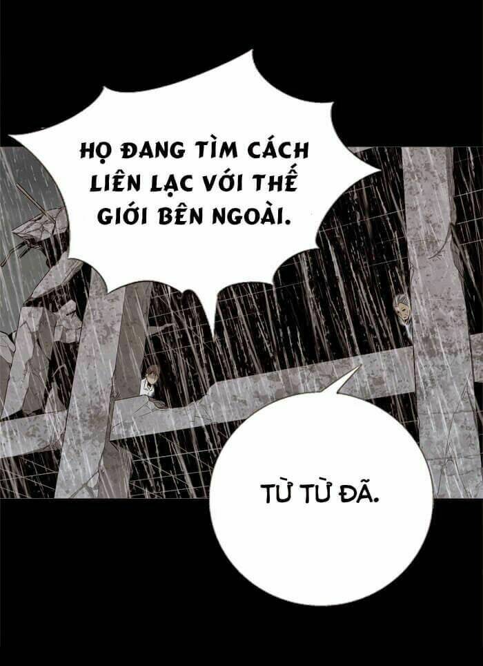 thảm họa ong độc chapter 50 - Trang 2