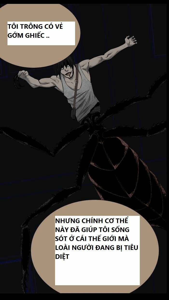 thảm họa ong độc chapter 92 - Next chapter 93