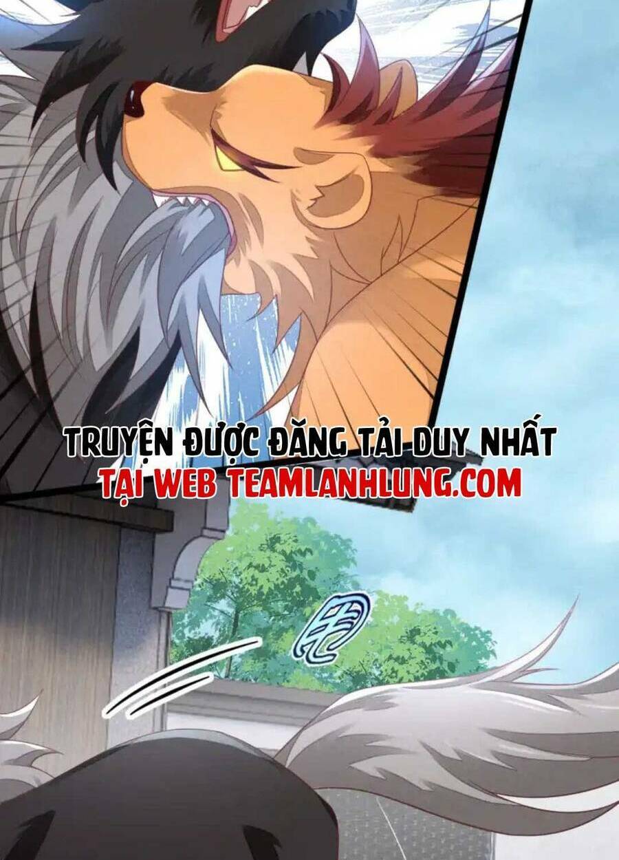 thần phi ngự thiên hạ chapter 13 - Next chapter 14